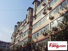 石家庄公寓爆料最新消息,揭秘神秘项目背后的真相